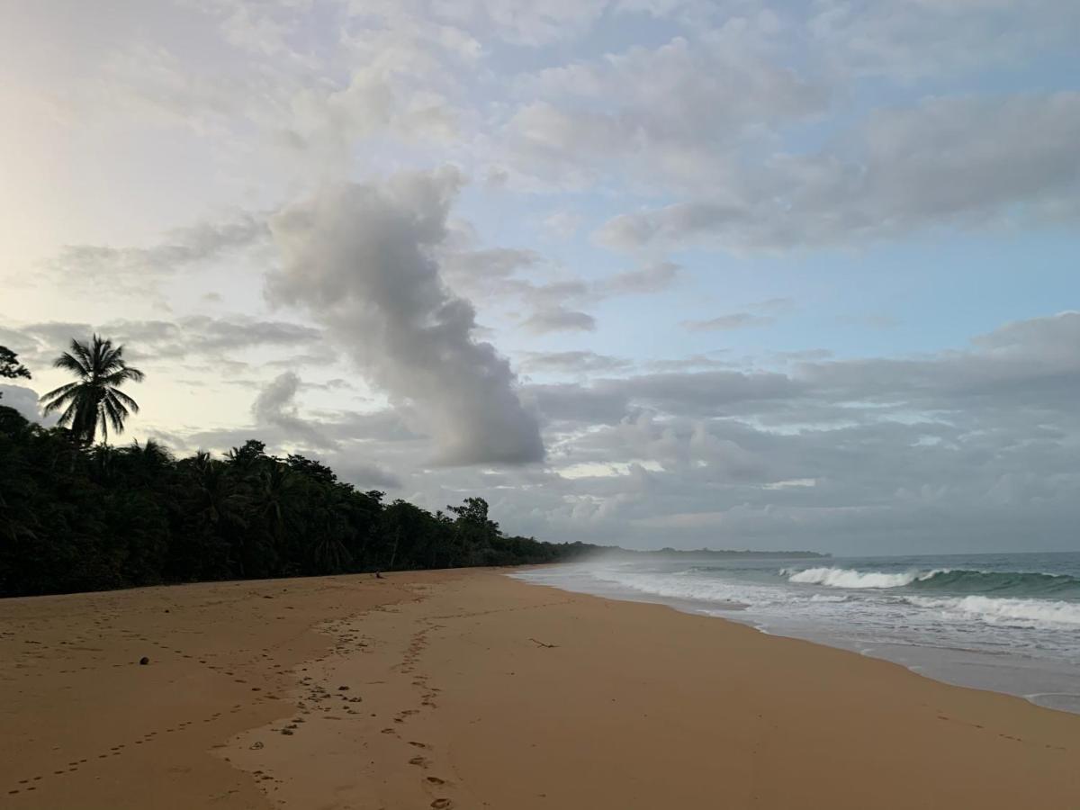 Jungle Bluff Beach Paradise - Jungle House&Clamping Bocas del Toro Exterior foto