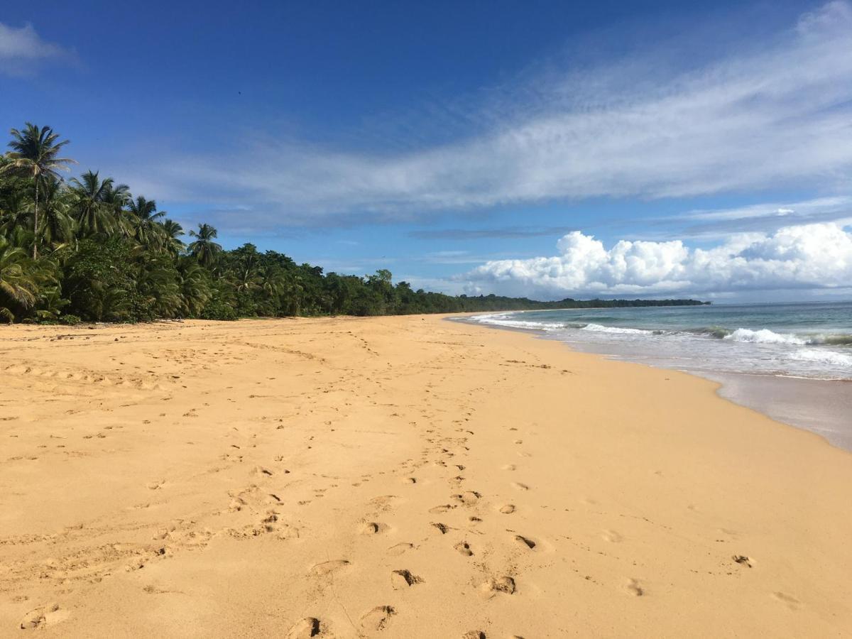 Jungle Bluff Beach Paradise - Jungle House&Clamping Bocas del Toro Exterior foto