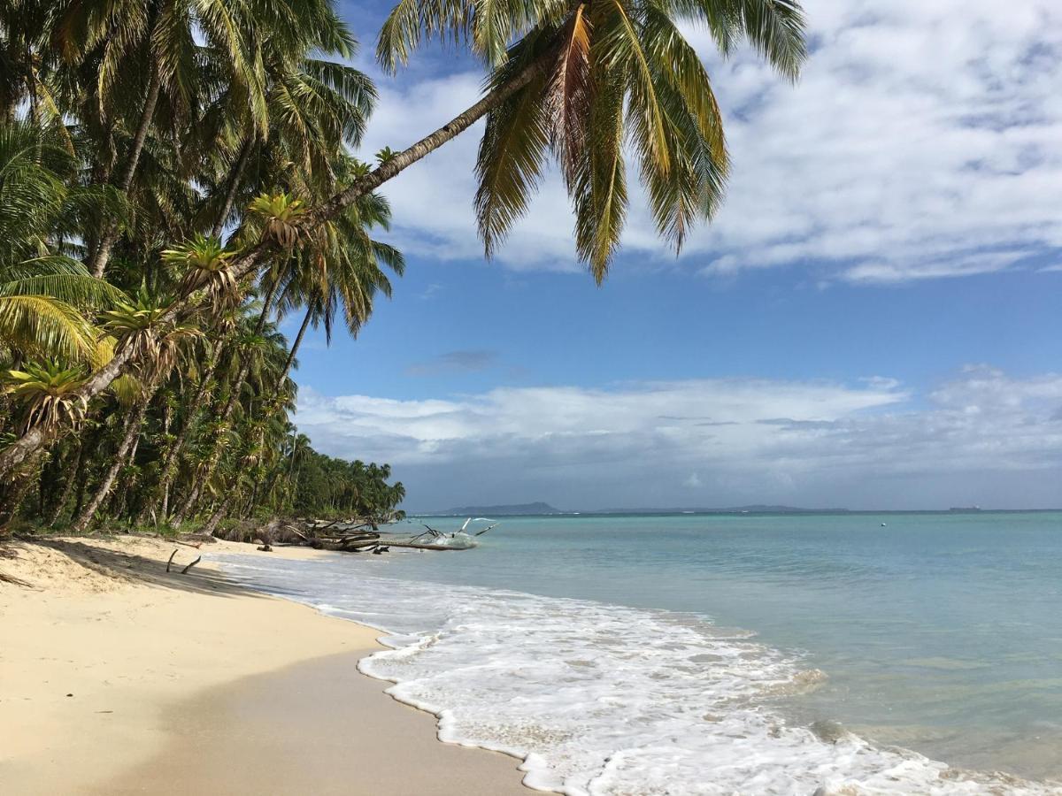 Jungle Bluff Beach Paradise - Jungle House&Clamping Bocas del Toro Exterior foto