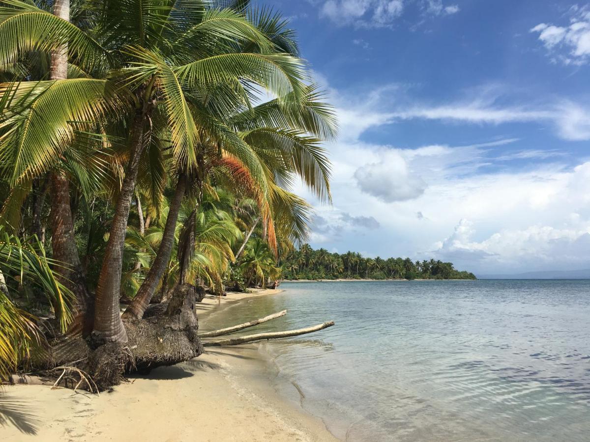 Jungle Bluff Beach Paradise - Jungle House&Clamping Bocas del Toro Exterior foto