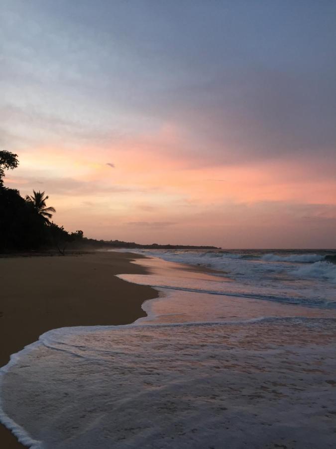 Jungle Bluff Beach Paradise - Jungle House&Clamping Bocas del Toro Exterior foto