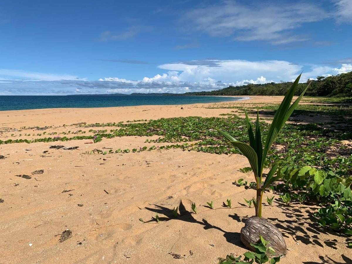 Jungle Bluff Beach Paradise - Jungle House&Clamping Bocas del Toro Exterior foto