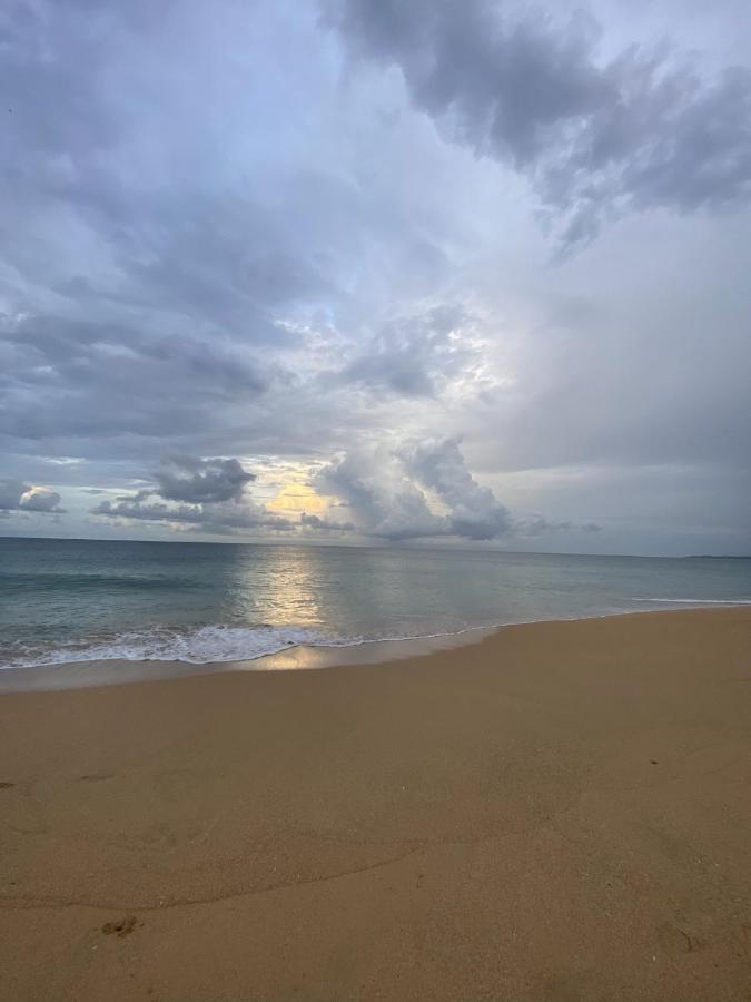 Jungle Bluff Beach Paradise - Jungle House&Clamping Bocas del Toro Exterior foto