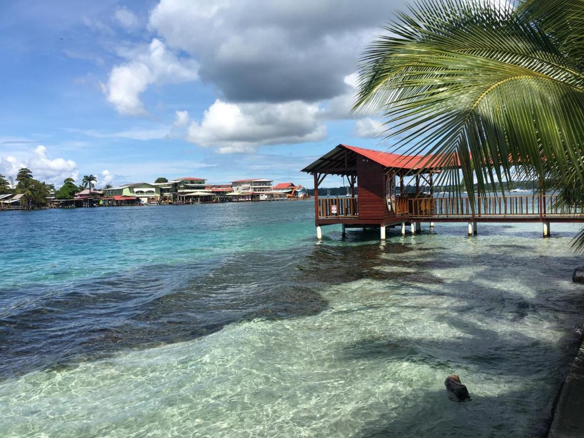 Jungle Bluff Beach Paradise - Jungle House&Clamping Bocas del Toro Exterior foto