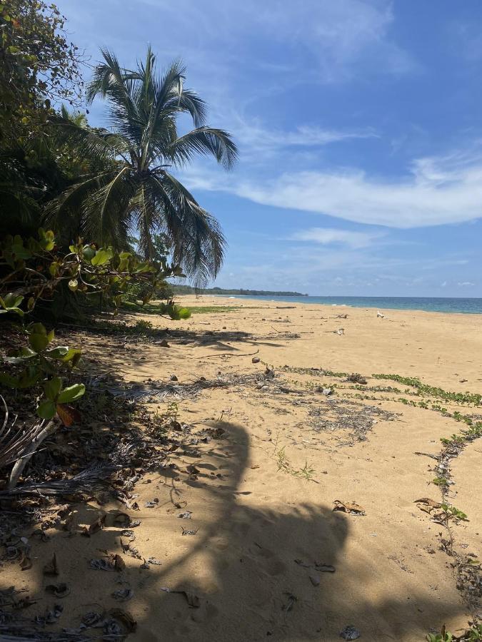 Jungle Bluff Beach Paradise - Jungle House&Clamping Bocas del Toro Exterior foto