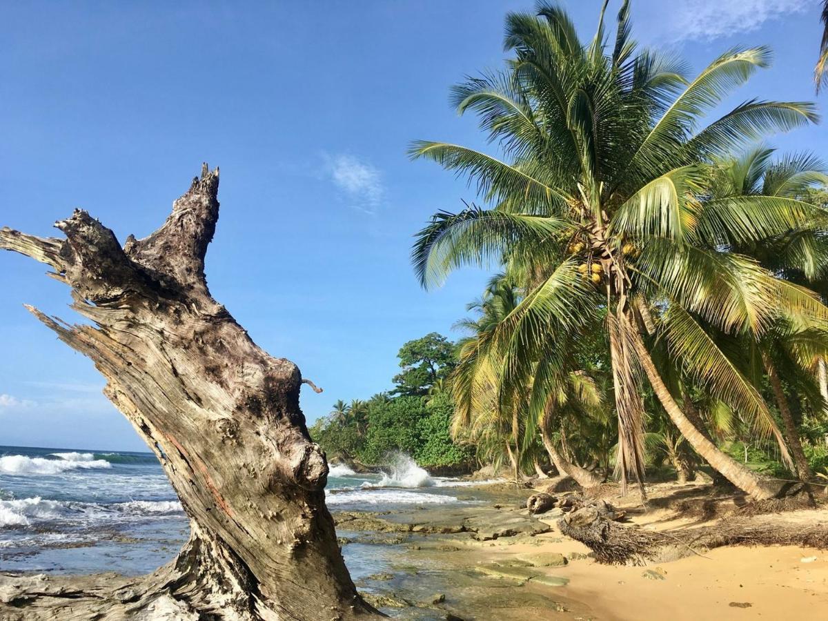 Jungle Bluff Beach Paradise - Jungle House&Clamping Bocas del Toro Exterior foto