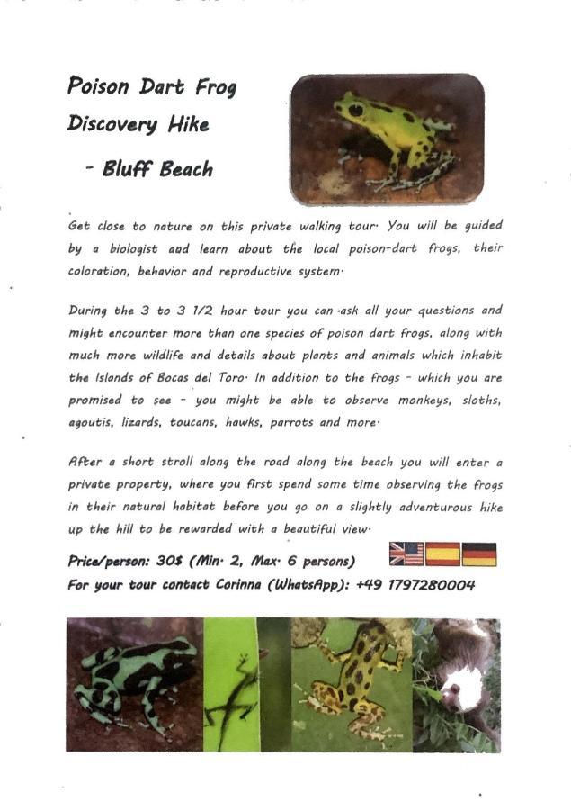 Jungle Bluff Beach Paradise - Jungle House&Clamping Bocas del Toro Exterior foto