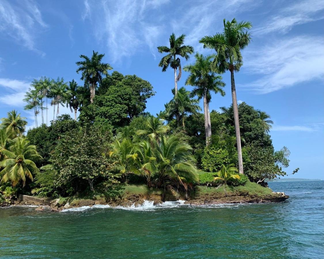 Jungle Bluff Beach Paradise - Jungle House&Clamping Bocas del Toro Exterior foto